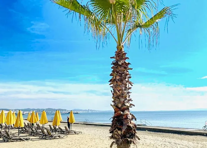 Tate Beachfront Apartment